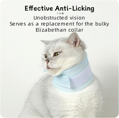 Soft cervical cone for small dogs showing the lightweight sponge layer.