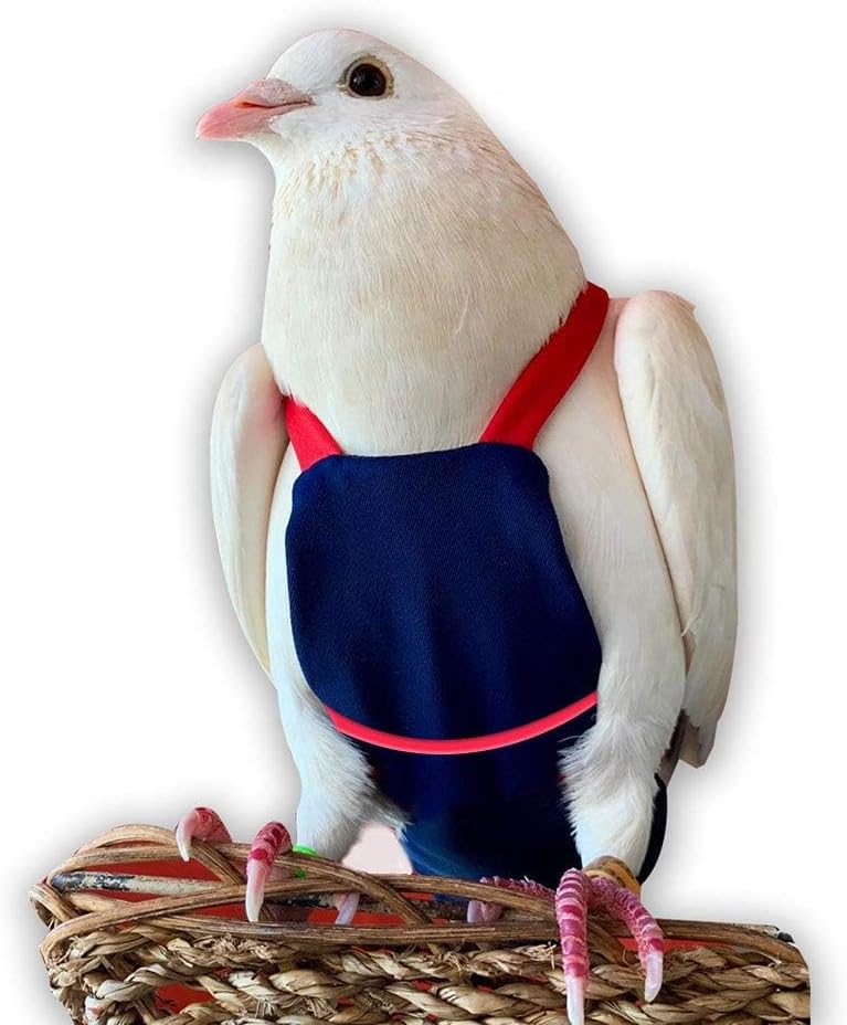 Bev's Bird Boutique Regular Flyper Adjustable Bird Diaper | Reusable, Washable Cloth | Comfort Fit for Parrot, Cockatiels, & Other Small Birds | Fashionable Avian Accessories, Dungaree Jeans, Size 7 - Image 13