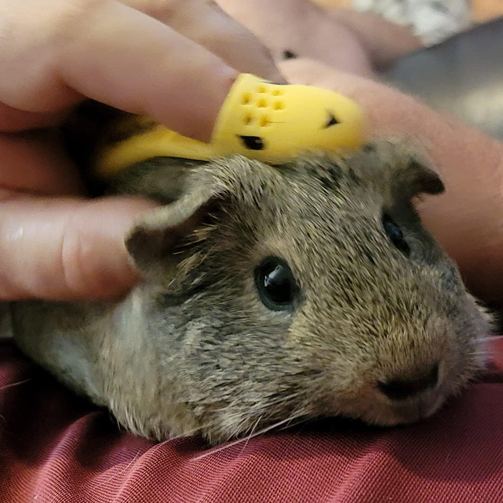 HuggleBrush Original Yellow silicone de shedding tool for guinea pigs