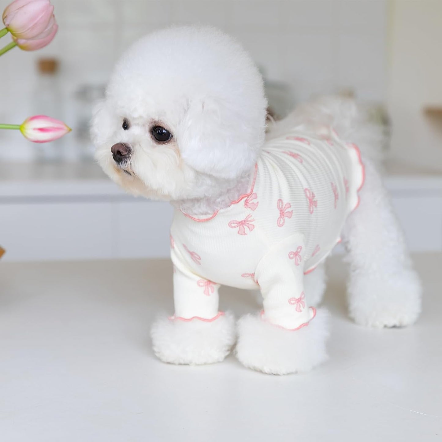 Yoolhamy lightweight summer clothes on an extra small puppy
