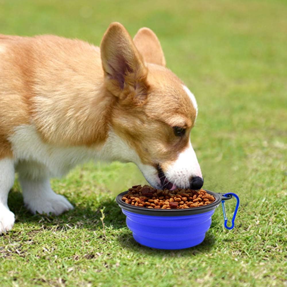 SLSON lightweight travel pet bowls attached securely to an outdoor backpack