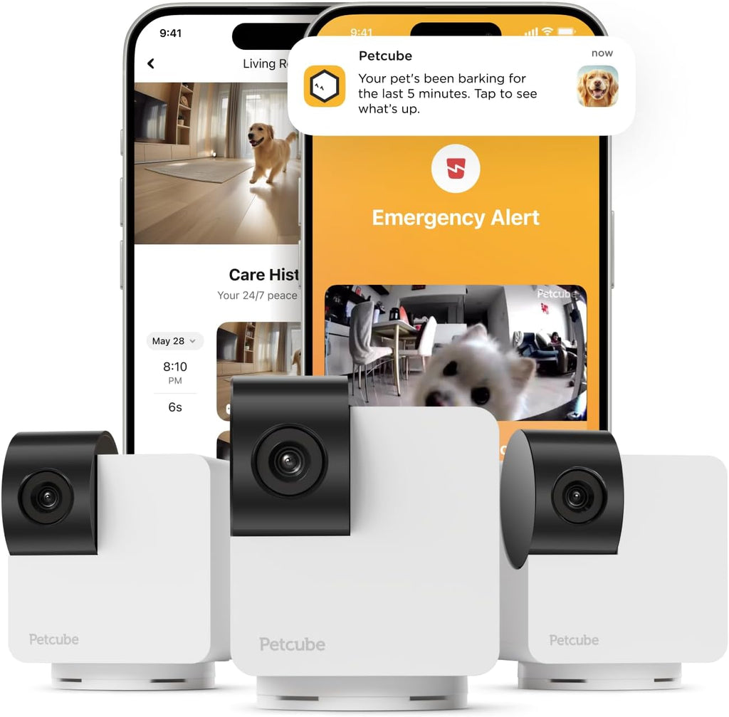 Petcube Cam 360 Camera Interactive WiFi Pet and Home Security Pan-Tilt Camera with Phone App, 1080p HD Video, 360 degrees Rotation, Night Vision, AI Alerts - Image 9