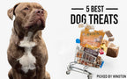 Healthy USA imported chicken chips for sensitive dogs
