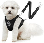 SlowTon Dog Seat Belt Harness for Car, Dog Car Harness Adjustable Mesh Breathable & Dog Seatbelt Safety Tether with Elastic Bungee for Small Medium Large Pets(Black, Double Clip, M) - Image 10