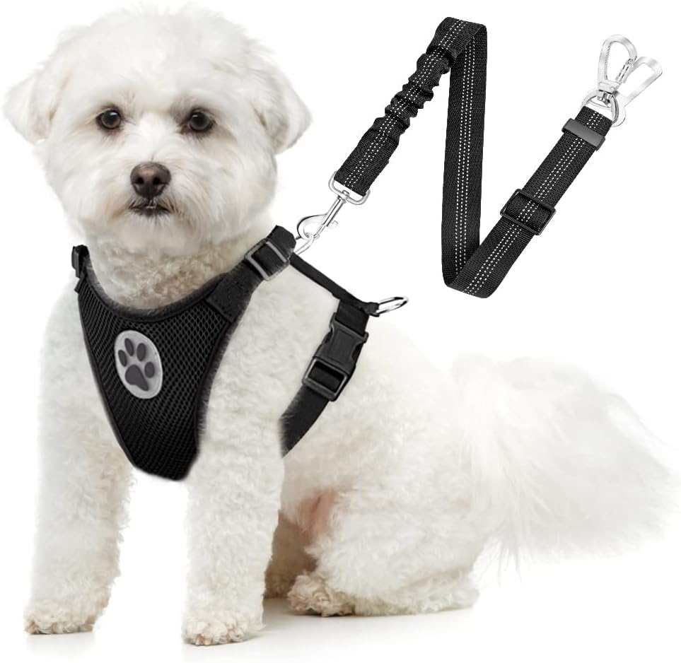 SlowTon Dog Seat Belt Harness for Car, Dog Car Harness Adjustable Mesh Breathable & Dog Seatbelt Safety Tether with Elastic Bungee for Small Medium Large Pets(Black, Double Clip, M) - Image 10
