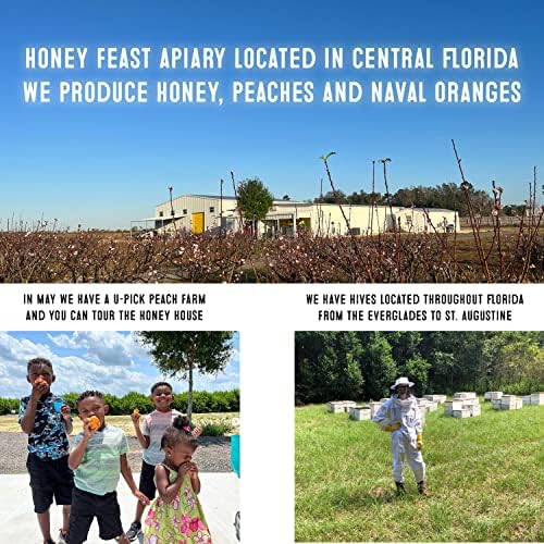 Honey Feast raw honey product group view