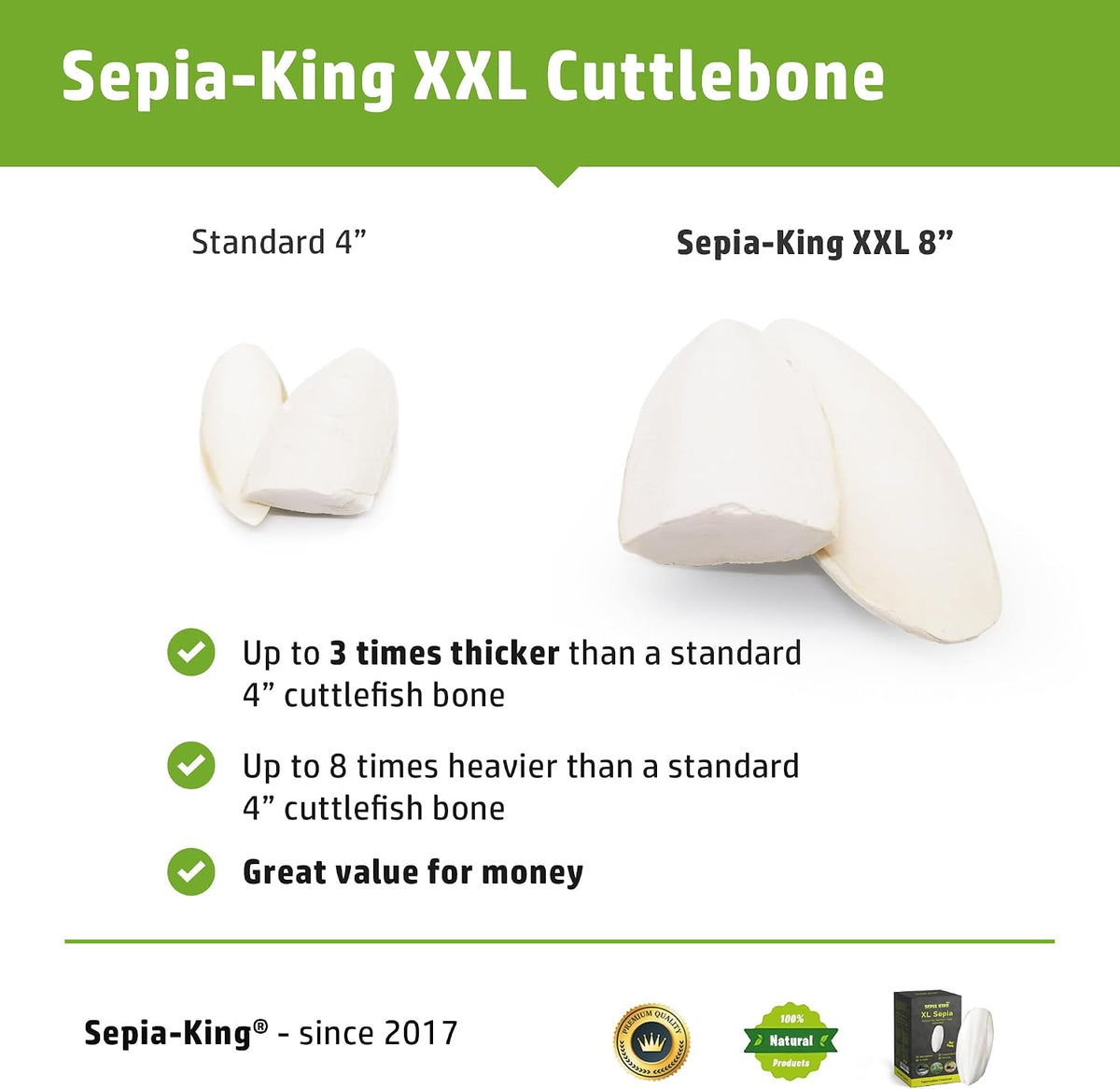 Three 8-inch Sepia King cuttlebones arranged for display