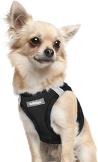 rabbitgoo Small Dog Harness, Step-in Easy On Soft Light Puppy Vest with Breathable Mesh for Walking, Safe Reflective Pet Harness for Small Sized Dogs, Navy Blue S - Image 12