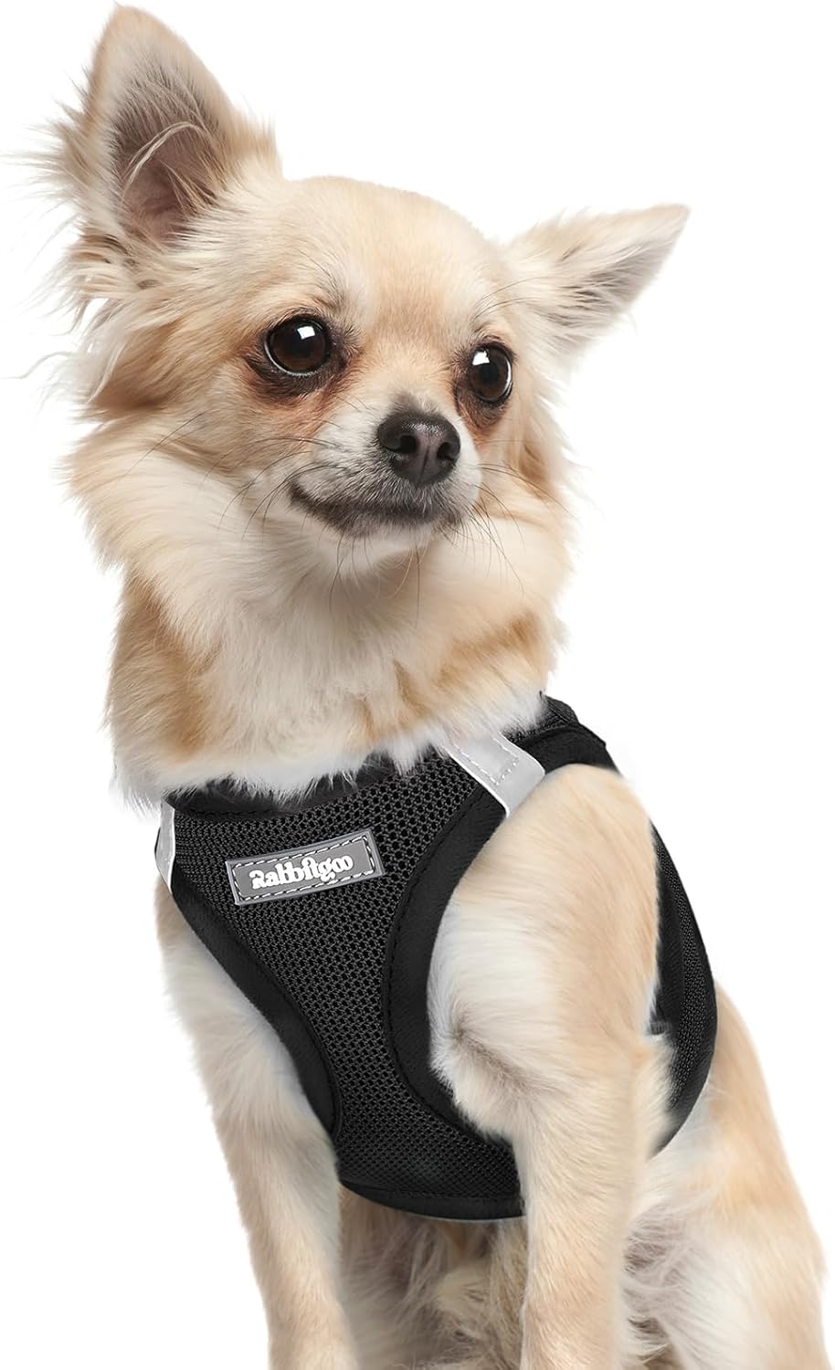 rabbitgoo Small Dog Harness, Step-in Easy On Soft Light Puppy Vest with Breathable Mesh for Walking, Safe Reflective Pet Harness for Small Sized Dogs, Navy Blue S - Image 12