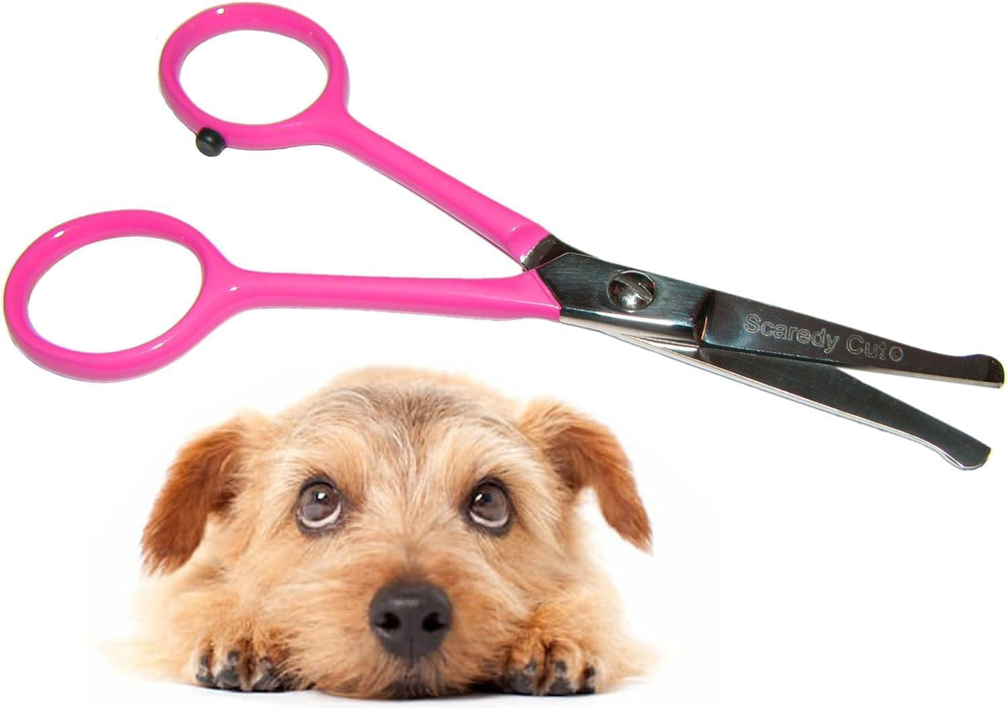 Premium stainless steel dog paw grooming scissor side angle view