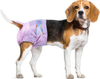 Side view illustration of Flying Paws leak protection barriers on premium imported female puppy wraps