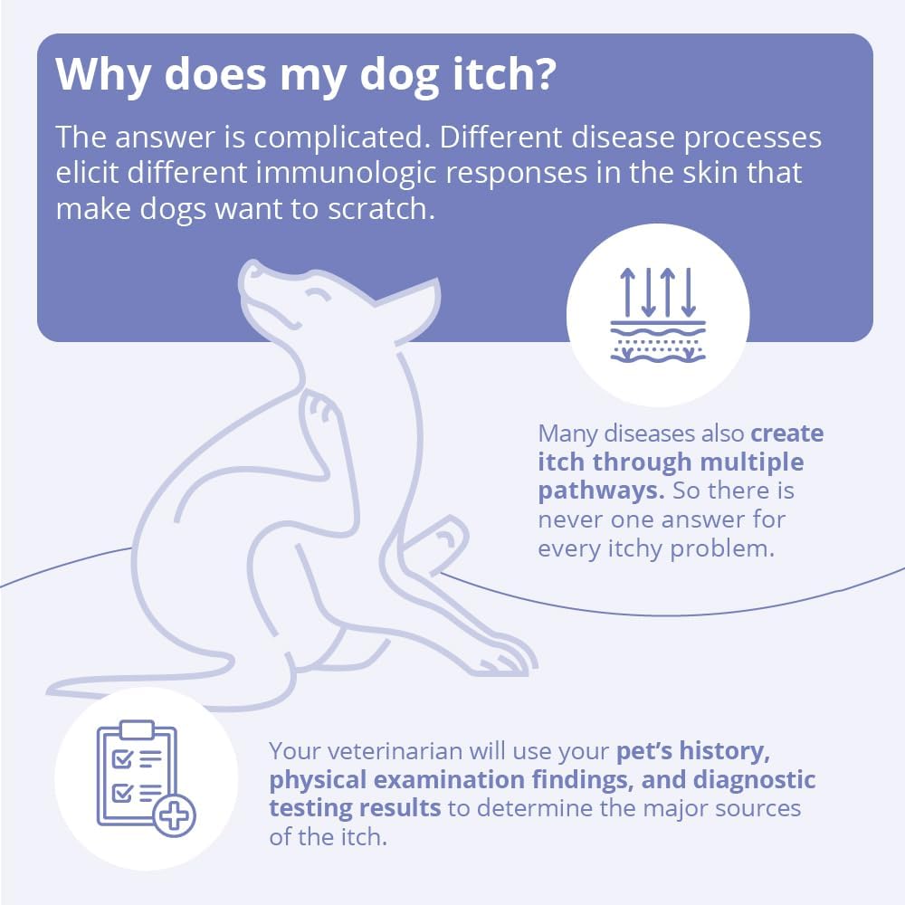 Authentic imported USA pet skin care spray for hot spots
