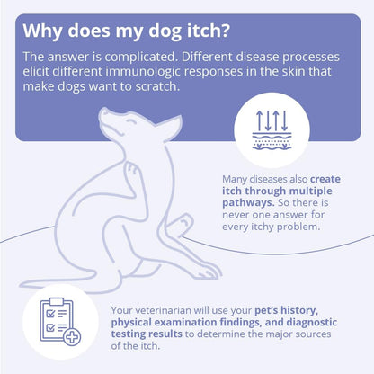 Authentic imported USA pet skin care spray for hot spots