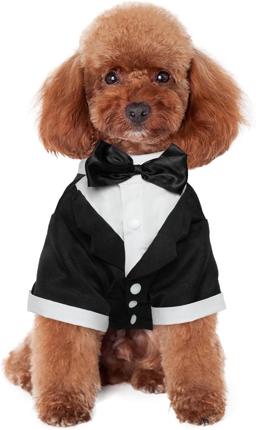 Kuoser Dog Tuxedo, Formal Dog Costume with Bow Tie Pet Wedding Suit Party Birthday Outfit, Dogs Tux Soft Shirt for Valentines Christmas Halloween Graduation Cosplay, Black M - Image 9