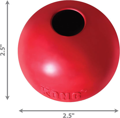 Kong dog ball being used in an outdoor setting