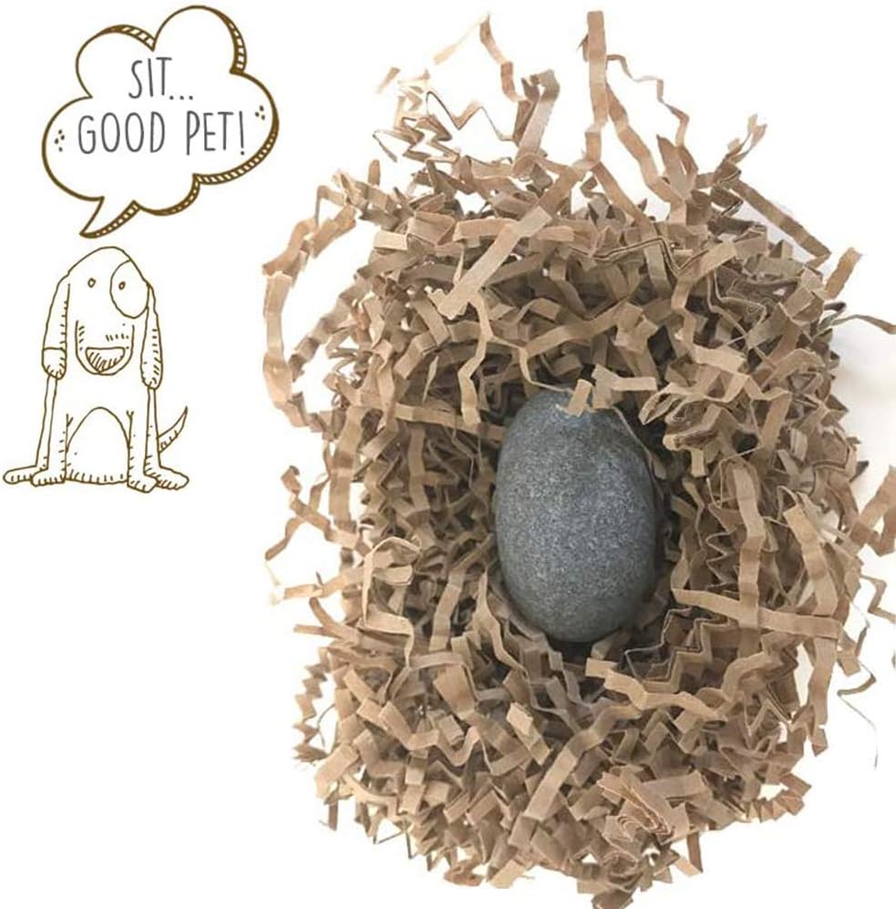 Authentic Pet Rock stone with training manual