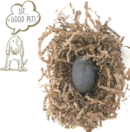 Authentic Pet Rock stone with training manual