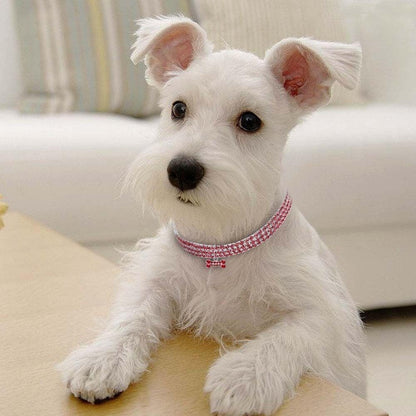 SUPVOX clear crystal pet dress up collar packaging view