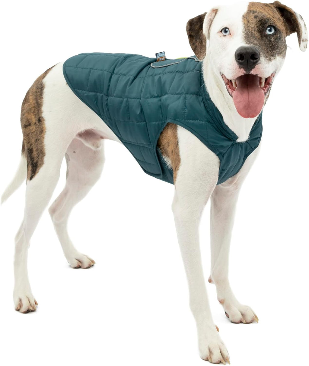Dog wearing Kurgo Loft jacket outdoors in winter