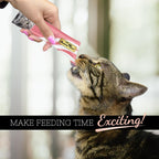 Close up of Fussie Cat Chicken with Beef packaging