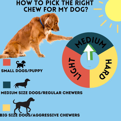 Premium USA imported dog bones showing thick durable texture for joint support