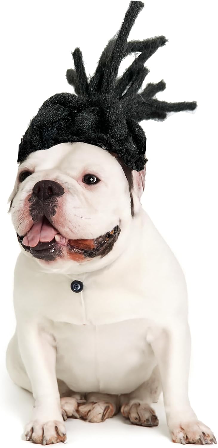 Lamiaraga pet costume wig for small dog