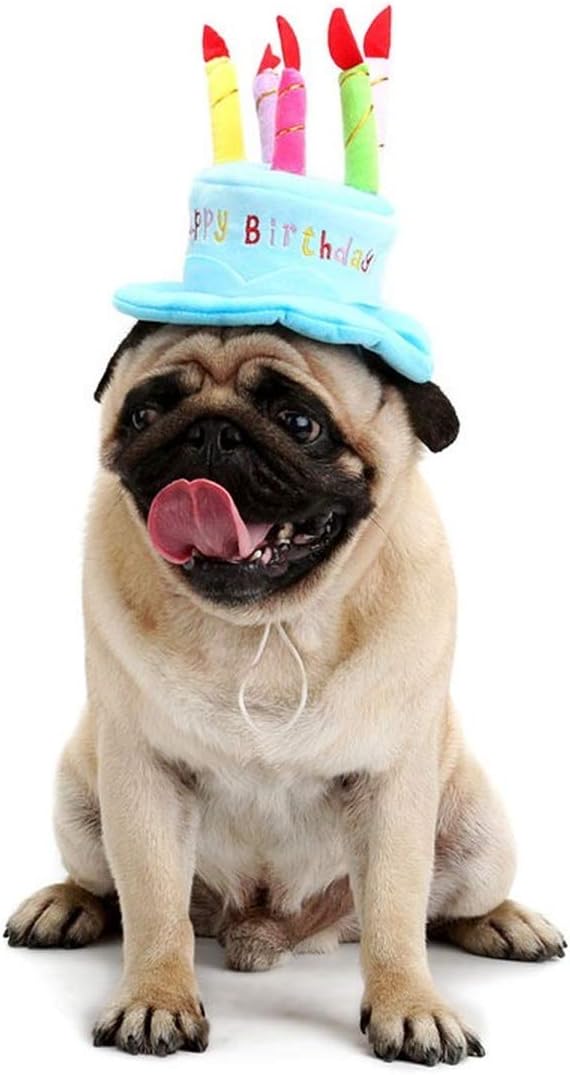 Cat and dog friendly birthday cake cap design