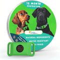 New CP Jan 24 Fursure Dog Pendant 2.0 natural flea and tick repellent tag front view attached to a collar.
