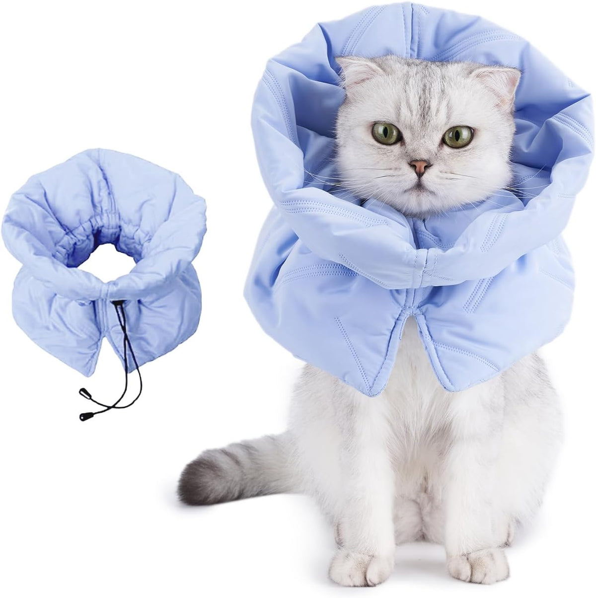 Comparison of a soft fabric cat recovery collar versus a rigid plastic cone