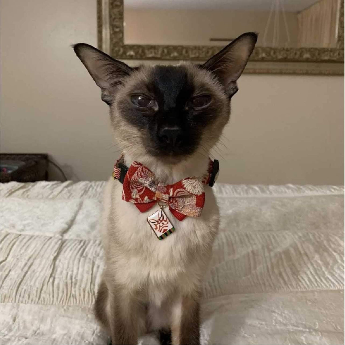Necoichi Kabuki Charm Bow Tie Cat Collar (Red) - Image 9