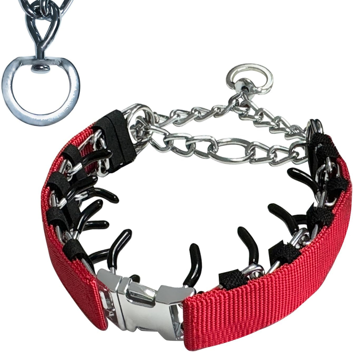 No pull dog collar components separated to show adjustability features