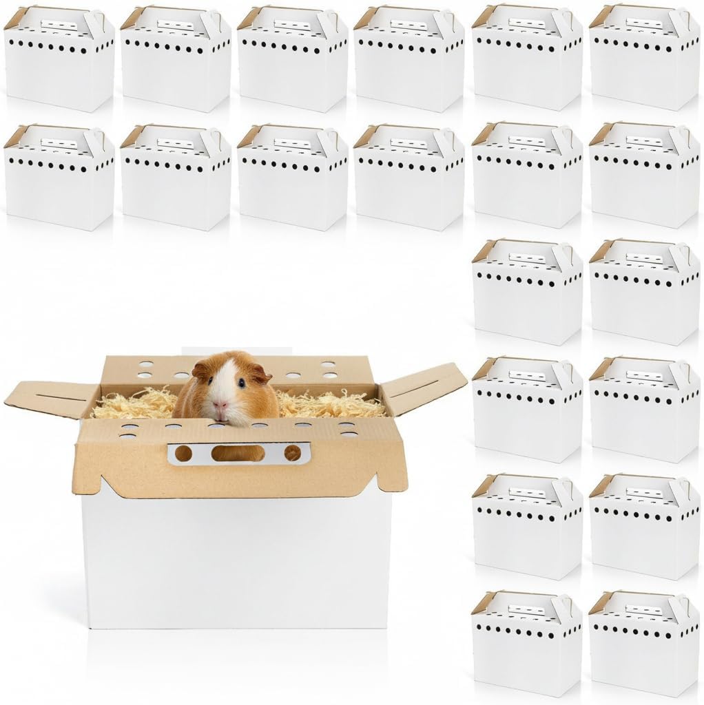 Coloch 20 Pack Cardboard Pet Carrier for Small Pets, 11x8x6 Inches Disposable Pet Transport Box for Pullets, Fowls, Hamsters, Gerbils, Reptiles, Guinea Pigs - Image 1