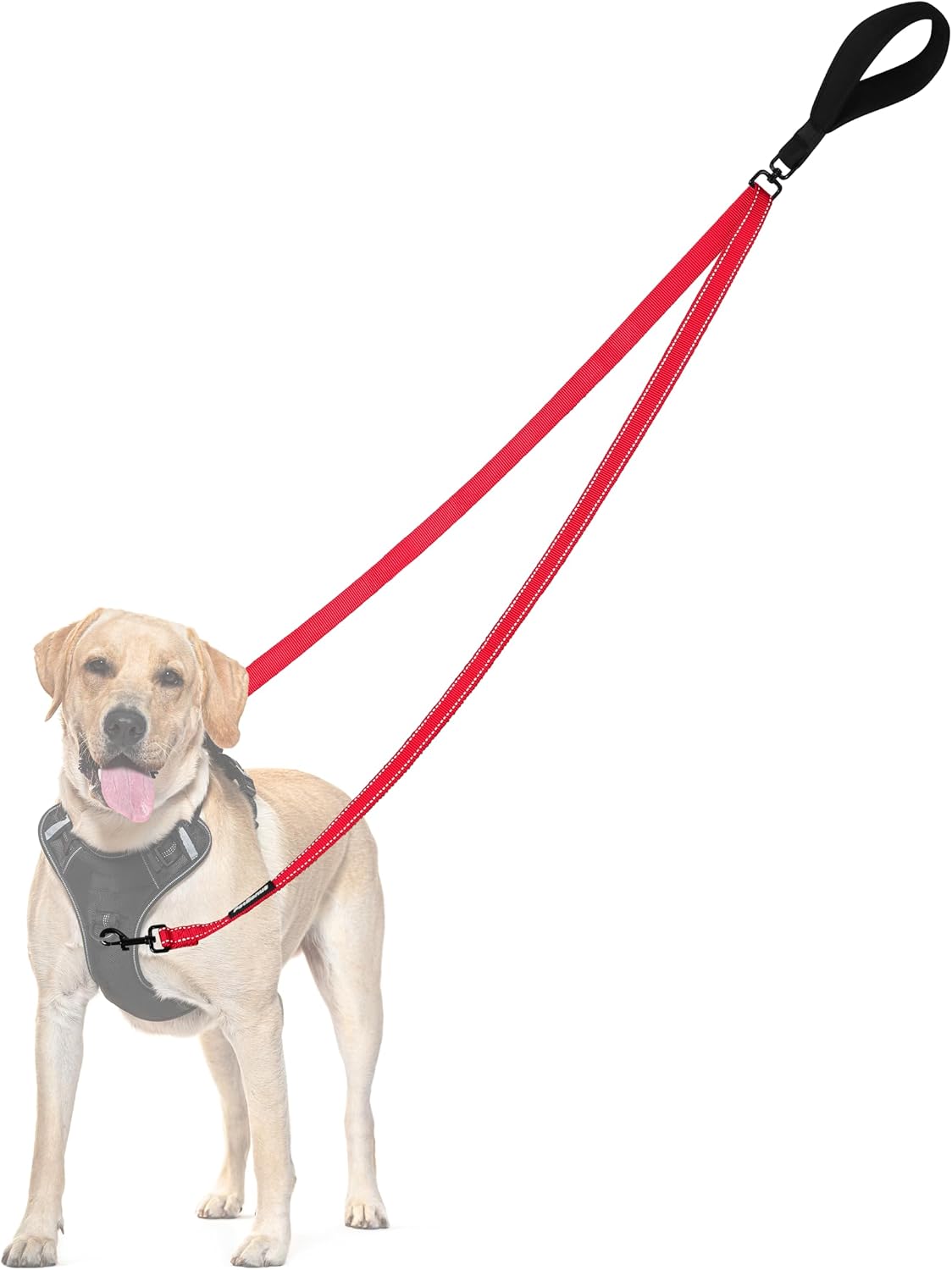 PetBonus Two Point Control Dog Leash, Works with No Pull Harnesses, No Tangle Training Leashes, Soft Padded and Reflective Walking Lead, Converts to Single Lead for Medium Large Dogs (Black) - Image 14