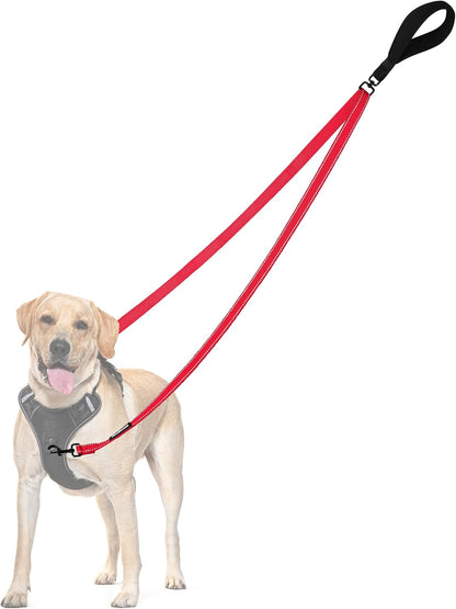PetBonus Two Point Control Dog Leash, Works with No Pull Harnesses, No Tangle Training Leashes, Soft Padded and Reflective Walking Lead, Converts to Single Lead for Medium Large Dogs (Black) - Image 14