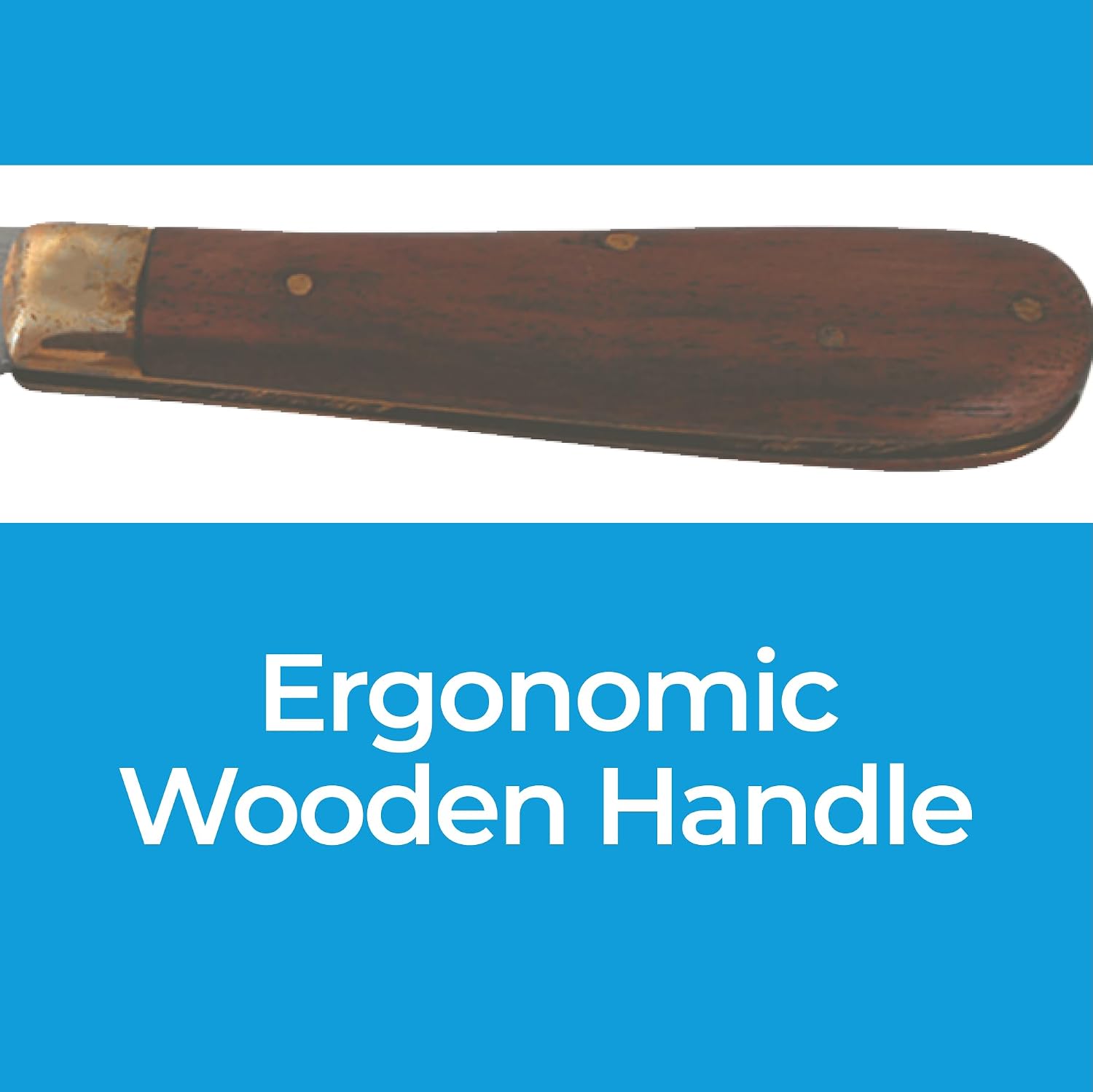 DrTail horse grooming tool held in hand