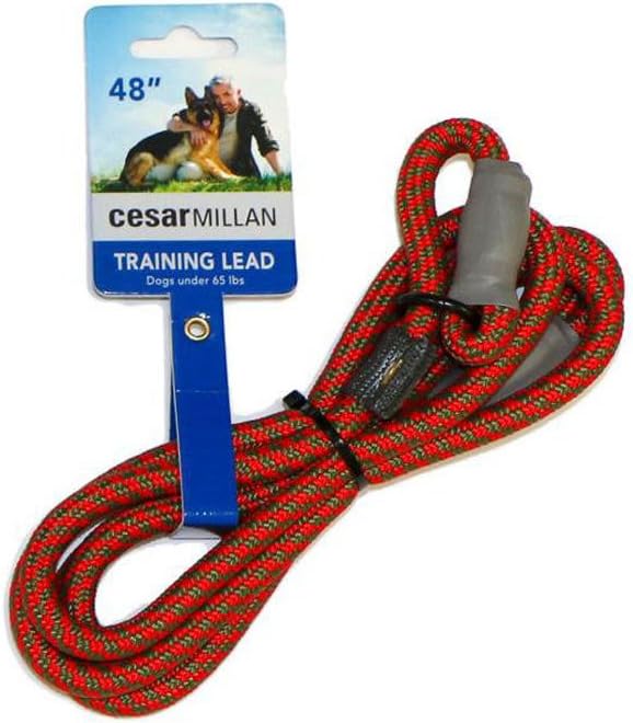 Cesar Millan weatherproof nylon training lead with metal anti choking lock tab.