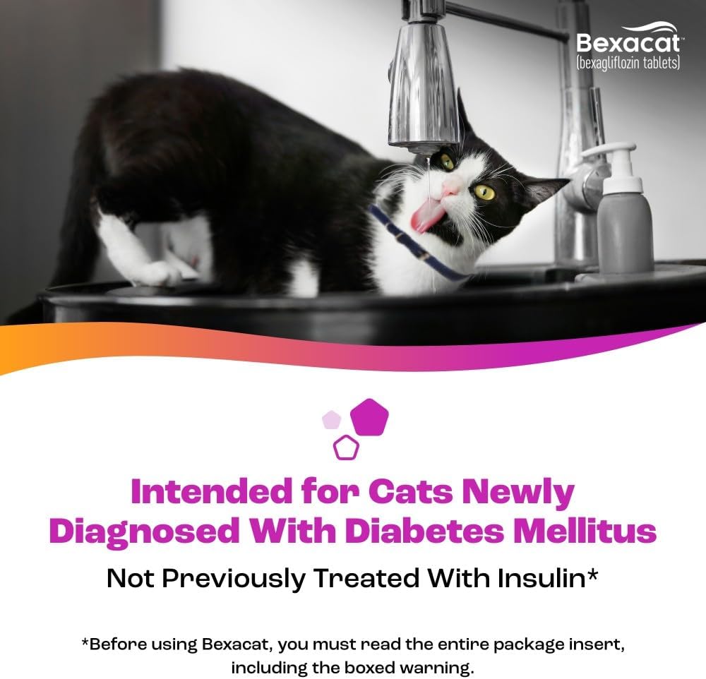 Bexacat 30 count bottle for cat diabetes management