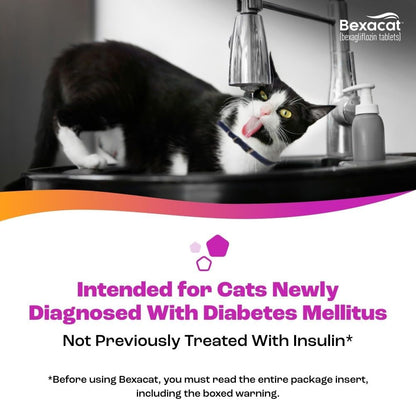Bexacat 30 count bottle for cat diabetes management