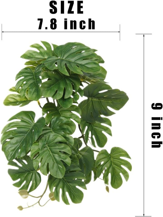 Woledoe hanging Monstera plants for snake tank terrarium