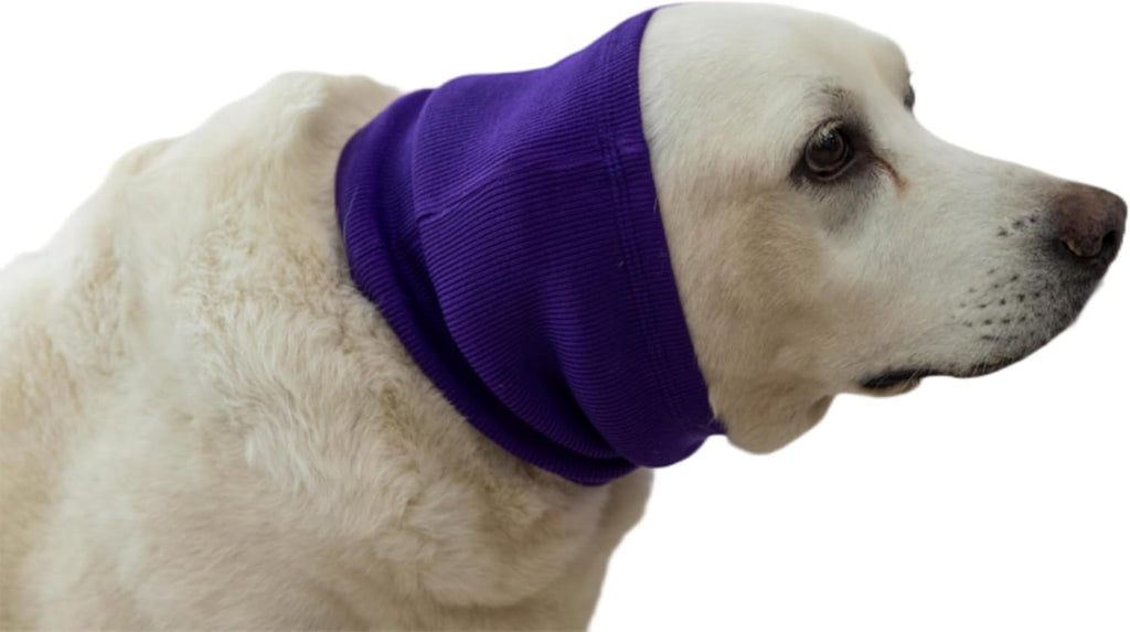 Side profile of cat wearing DDFS calming accessory