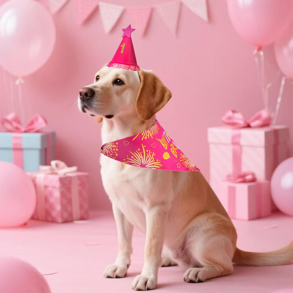 Happy puppy wearing pink birthday hat and bandana