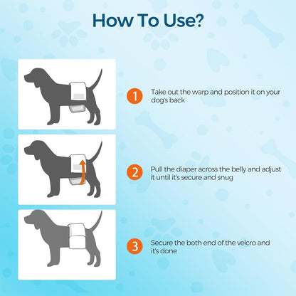 Bestle male dog wrap packaging showing sizing chart for extra small dogs between two and thirteen pounds.