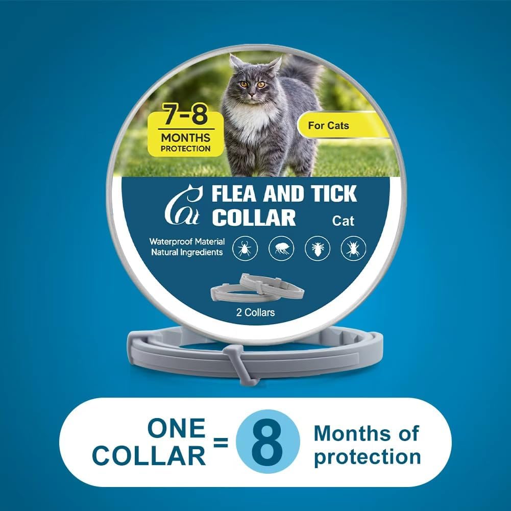 Amdeiur cat collar safety buckle feature