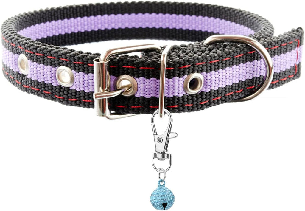 Assorted colorful pet training charm pendants in 8 pack