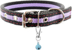 Assorted colorful pet training charm pendants in 8 pack