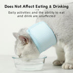 Breathable Elizabethan collar for cats in blue color showing adjustable straps.