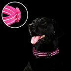 Reflective stitching on hot pink dog collar