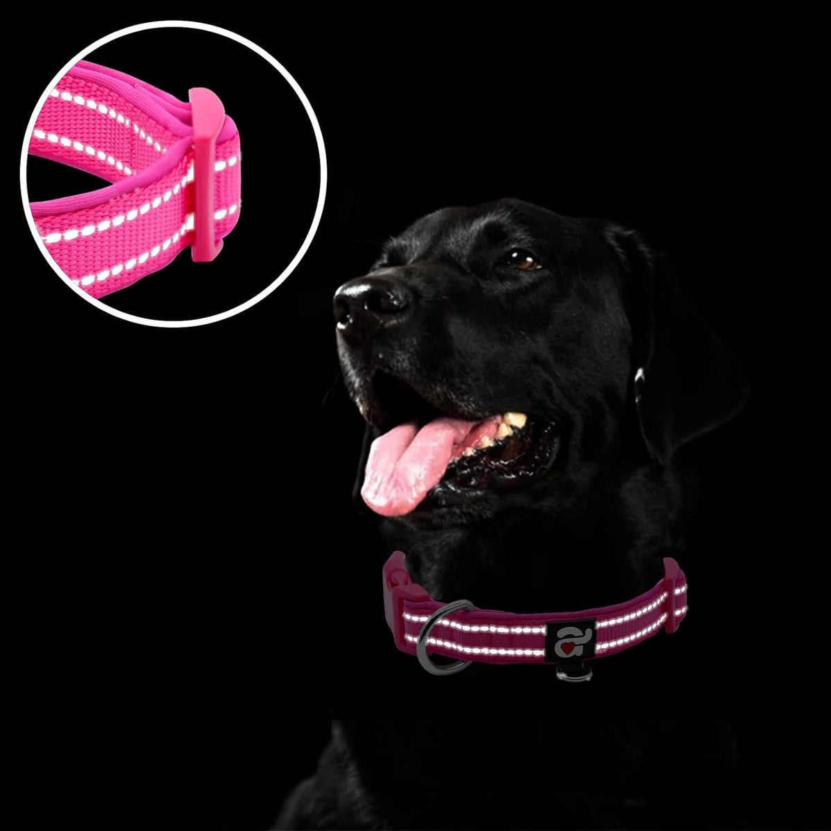 Reflective stitching on hot pink dog collar
