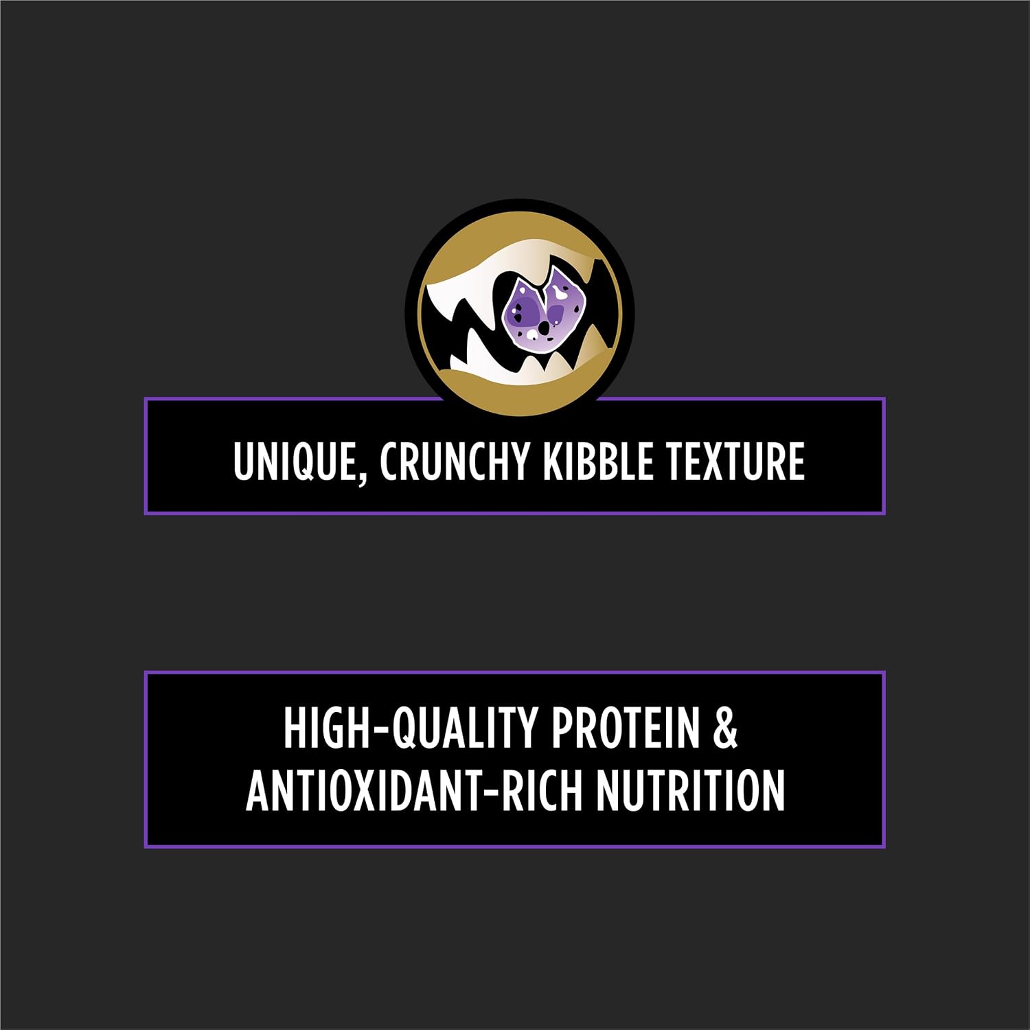 Authentic imported USA Purina dental health small breed dry dog food six pound packaging.