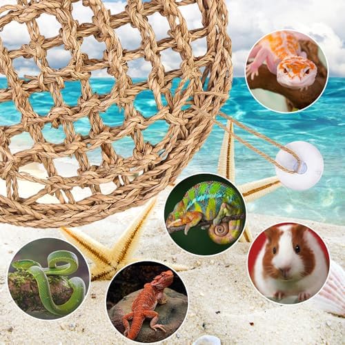 Packaging contents of the FWUNYVN small reptile tank accessories pack showing all suction cups